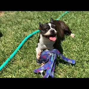 Meet your Posher, Amber